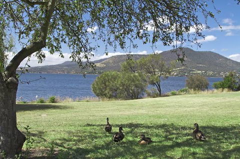 Riverfront Motel & Villas - Accommodation Rockhampton 0
