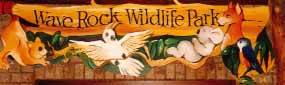 Wave Rock Hotel Motel - Accommodation Rockhampton 0