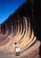 Wave Rock Hotel Motel - Accommodation Rockhampton 3