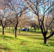 Wellington Caves Caravan Park - Accommodation Rockhampton