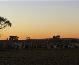 Goodwood Stationstay - Accommodation Rockhampton 1