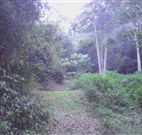 Macas Camping Ground - Accommodation Rockhampton