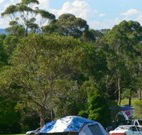 Milton Valley Holiday Park - Accommodation Rockhampton