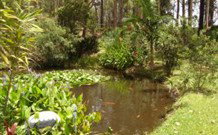 Tallowood Ridge B And B - Accommodation Rockhampton 0