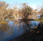 Warrawong on the Darling - Accommodation Rockhampton