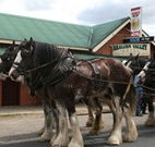 Araluen Valley Hotel - Araluen - Accommodation Rockhampton