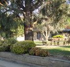 Hamilton Hume Motor Inn - Yass - Accommodation Rockhampton