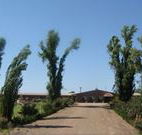 Newell Motor Inn - Narrandera - Accommodation Rockhampton
