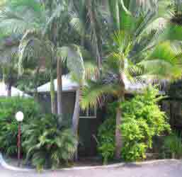 Nambour Rainforest Holiday Village - Accommodation Rockhampton 1