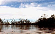 Stony Creek Farm B And B - Accommodation Rockhampton 5