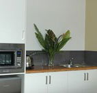 Toolond Plantation - Accommodation Rockhampton