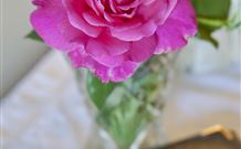Newcastles Bed And Breakfast - Accommodation Rockhampton 3