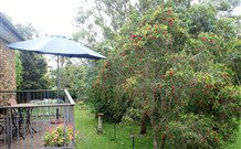 Peaceful Palms Bed And Breakfast - - Accommodation Rockhampton 6