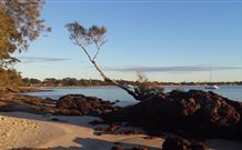 Tree Tops Bed And Breakfast Jervis Bay - Accommodation Rockhampton 6