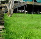 Snowy Valley Resort - Accommodation Rockhampton