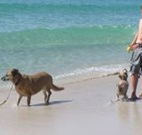 A Paradise Bungalow Waterfront - Accommodation Rockhampton