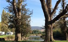Sand Cottage - Accommodation Rockhampton 1