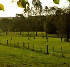 Stone Cottage Mittagong - Accommodation Rockhampton