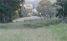 White Sands Cottage - Accommodation Rockhampton 2
