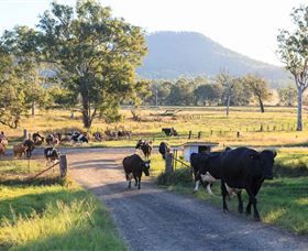 Tommerups Dairy Farmstay - Accommodation Rockhampton 0