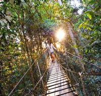 O'Reilly's Rainforest Retreat - Accommodation Rockhampton
