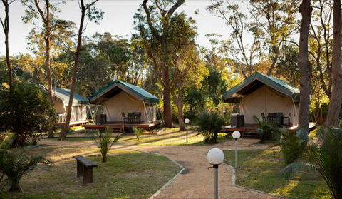 NRMA Myall Shores Holiday Park - Accommodation Rockhampton 0
