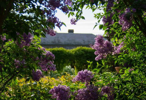 Eurambeen Historic Homestead And Gardens - Accommodation Rockhampton 1