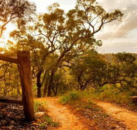 Kurrajong Trails and Cottages - Accommodation Rockhampton