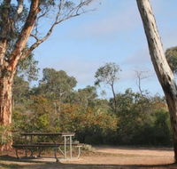 Drummonds Camp at Avon Valley National Park - Accommodation Rockhampton