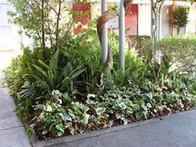 Comfort Inn Manhattan - Accommodation Rockhampton 2