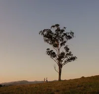 Faulls Ridge Winery - Accommodation Rockhampton