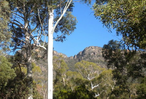 Gang Gang Villas - Accommodation Rockhampton 4