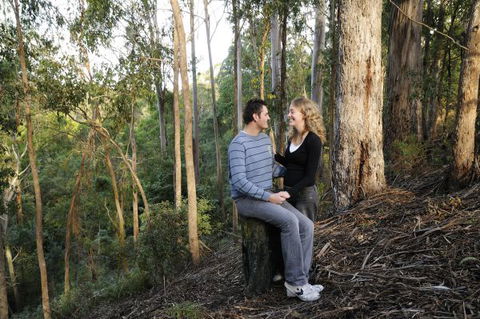 Goldsmith's In The Forest - Accommodation Rockhampton 3