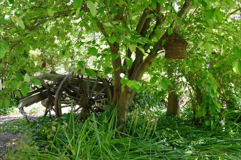 Willowbrook Heritage Bed & Breakfast - Accommodation Rockhampton 7