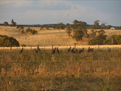 Bunjil Farm - Accommodation Rockhampton 8