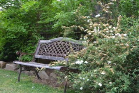 Garden Cottage B And B - Accommodation Rockhampton 4