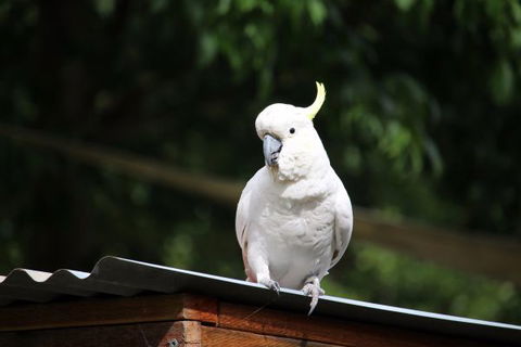 Jamieson Caravan Park - Accommodation Rockhampton 2