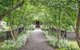 Kyneton Old Rectory - thumb 3