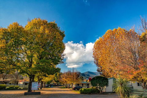 Porepunkah Bridge Holiday Park - Accommodation Rockhampton 3
