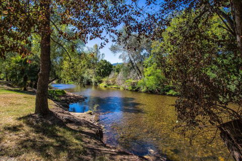 Porepunkah Bridge Holiday Park - Accommodation Rockhampton 5