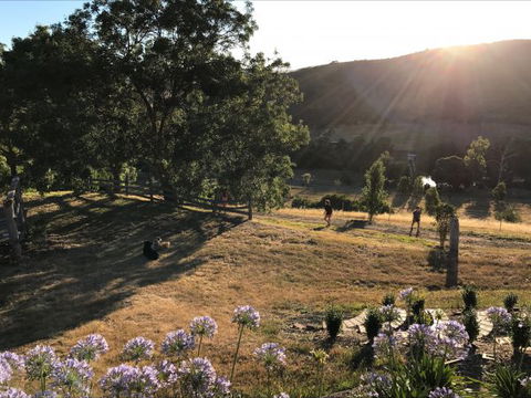 Shearer's Hill - Luxury Farm Stay - Accommodation Rockhampton 9