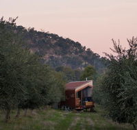 Shacky in the Olive Grove - Accommodation Rockhampton