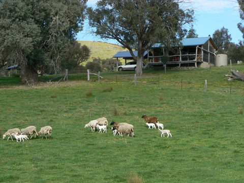 Gaddleen Grove Cottages - Accommodation Rockhampton 0