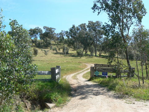 Gaddleen Grove Cottages - Accommodation Rockhampton 3