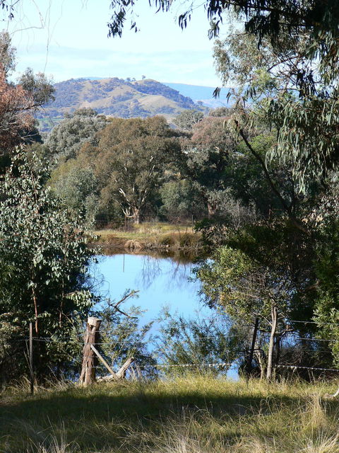 Gaddleen Grove Cottages - Accommodation Rockhampton 6