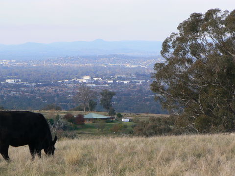 Gaddleen Grove Cottages - Accommodation Rockhampton 8