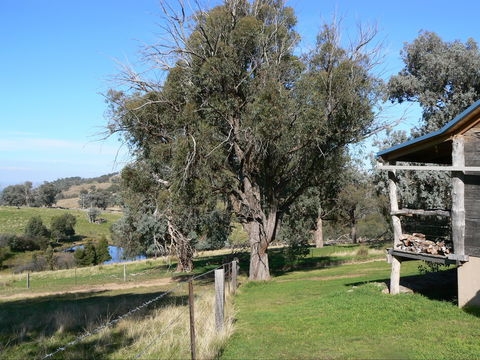 Gaddleen Grove Cottages - Accommodation Rockhampton 9
