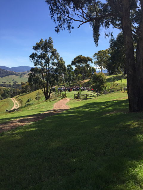 Howqua Valley Views - Accommodation Rockhampton 8