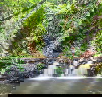 O'Reilly's Rainforest Retreat - Accommodation Rockhampton