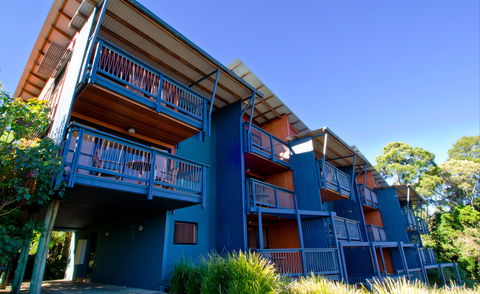 O'Reilly's Rainforest Retreat - Accommodation Rockhampton 7